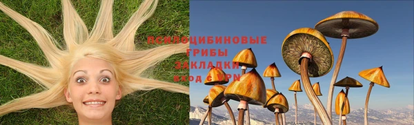 ГАЛЛЮЦИНОГЕННЫЕ ГРИБЫ Вязьма