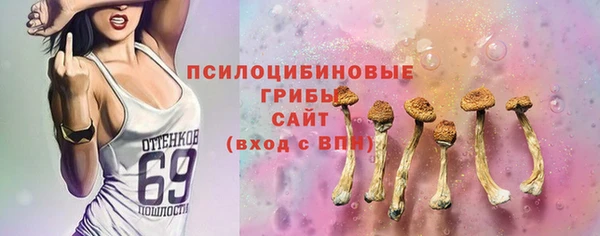ГАЛЛЮЦИНОГЕННЫЕ ГРИБЫ Вязьма