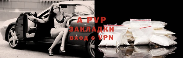 прущий лед Вяземский