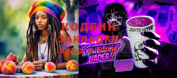ГАЛЛЮЦИНОГЕННЫЕ ГРИБЫ Вязьма