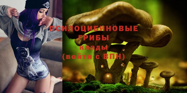 ГАЛЛЮЦИНОГЕННЫЕ ГРИБЫ Вязьма