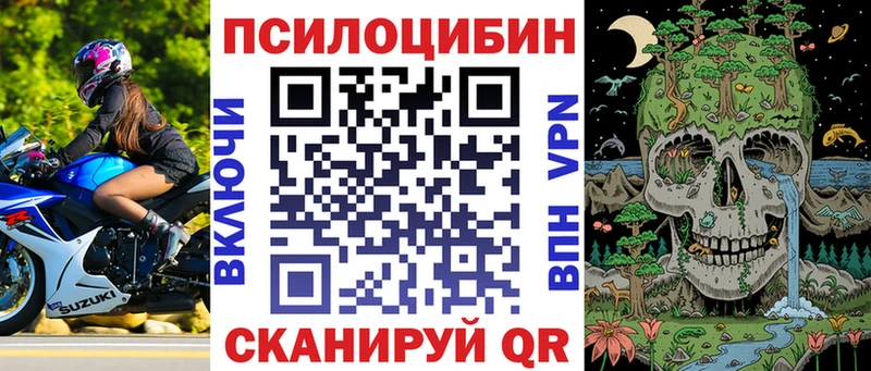 дарнет шоп Дербент Псилоцибиновые грибы мицелий