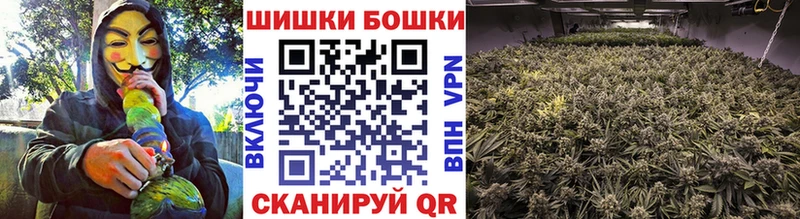 Бошки Шишки индика  mega маркетплейс  Дербент 